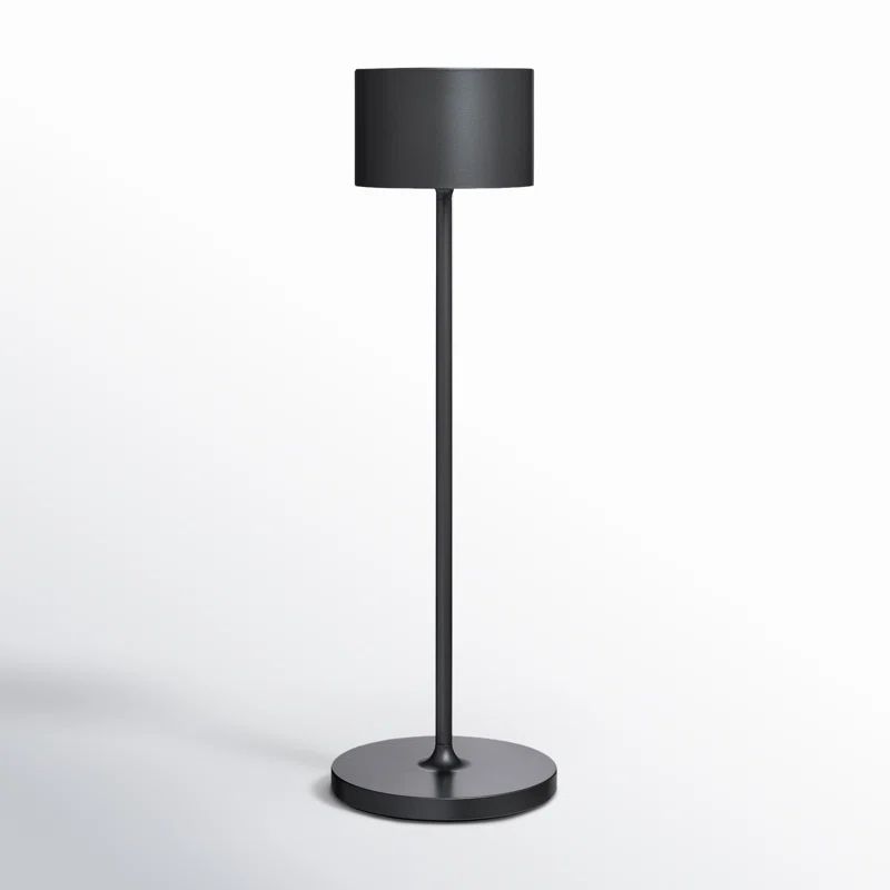 Gunmetal Metallic Outdoor LED Lamp with 3-Way Switch