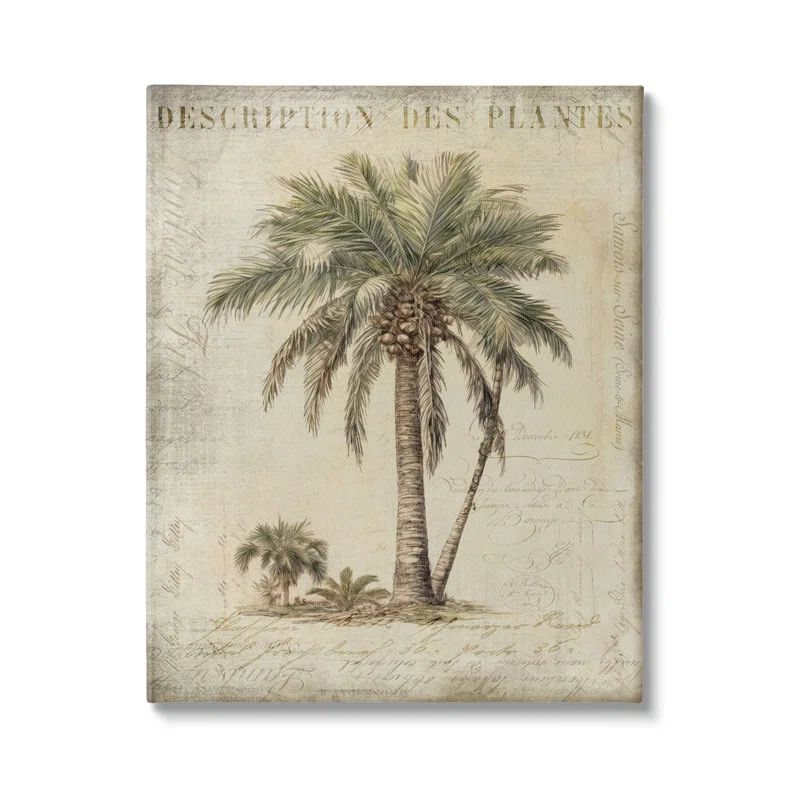 Vintage Palm Tree Study 30" x 40" Canvas Wall Art