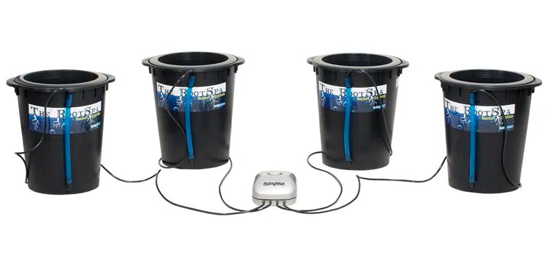 Black 5-Gallon Hydroponic 4-Bucket Deep Water Culture System