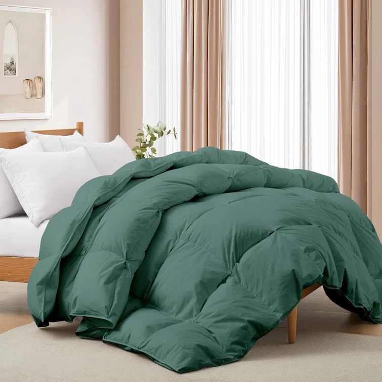 Twin Green Cotton Down Comforter with 600 Fill Power