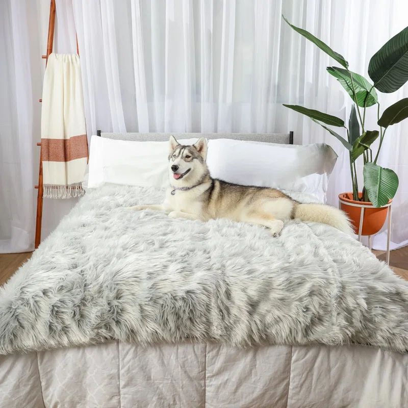 Light Gray Faux Fur Waterproof Pet Blanket, 60" x 50"