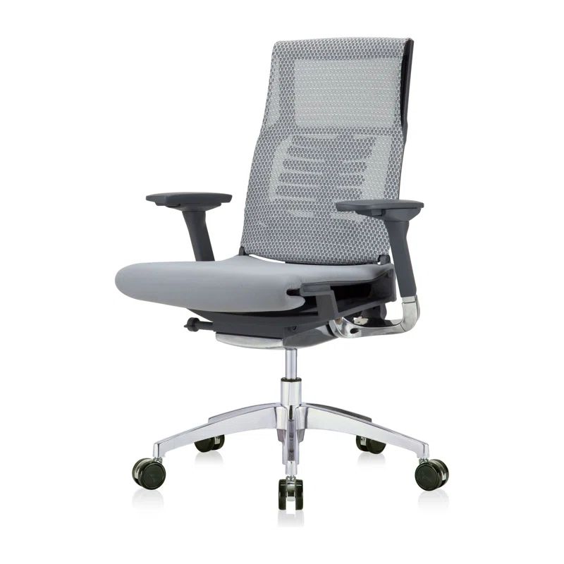 Bionic Spine High-Back Executive Swivel Chair in Gray/Black