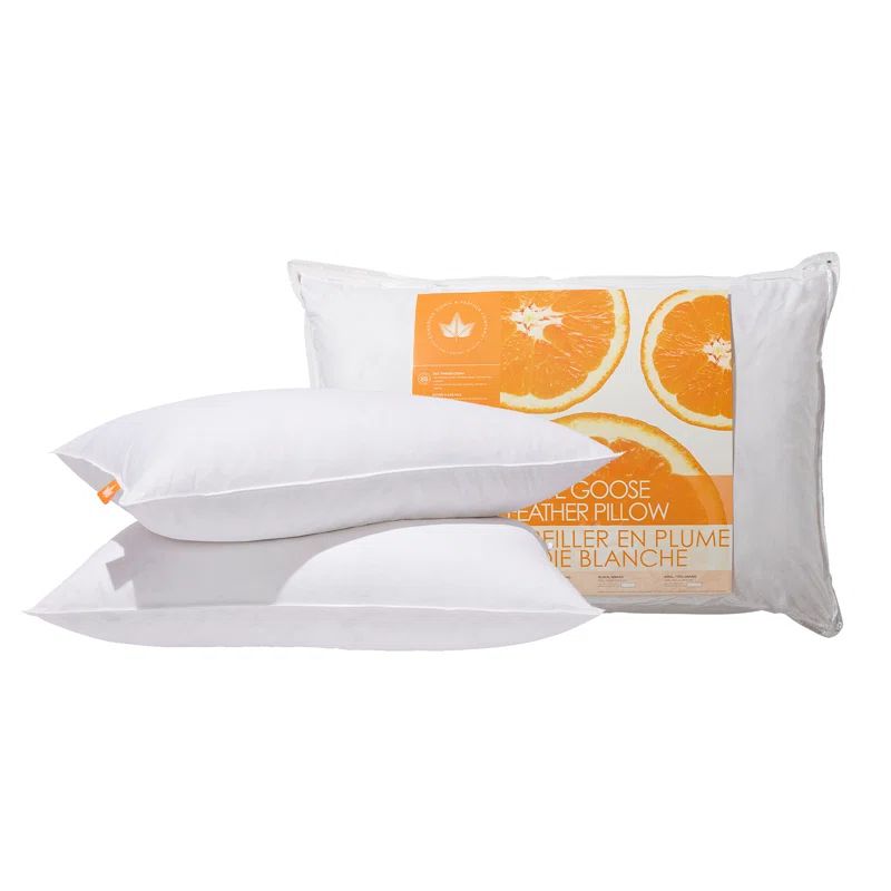 White Goose Feather Hypoallergenic Queen Size Pillow Set