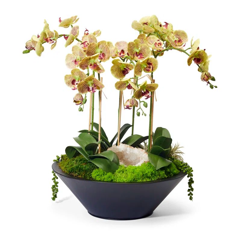 Green Faux Silk Orchid Arrangement in Black Metal Planter