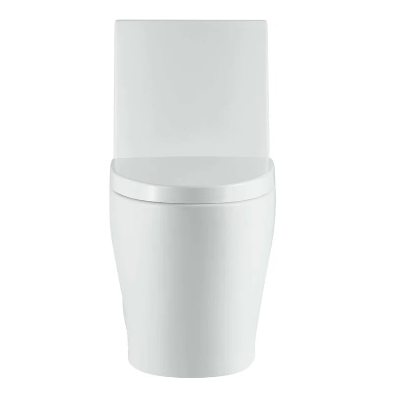 White Matte High Efficiency Dual-Flush Elongated One-Piece Toilet