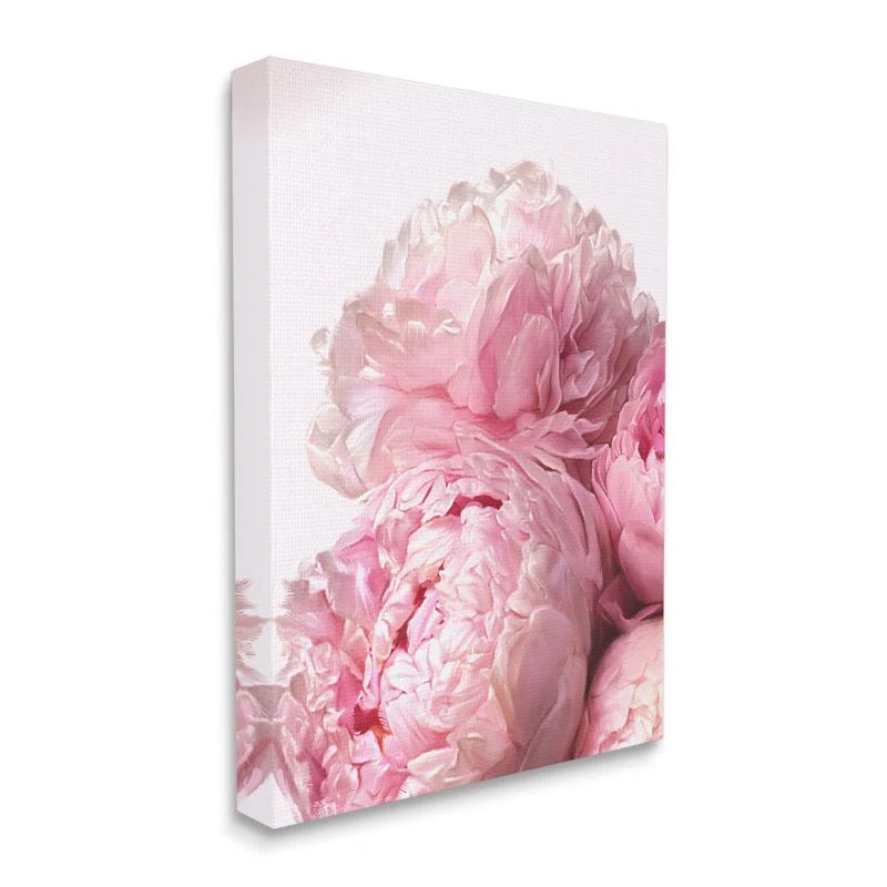 Blush Pink Peonies Blooming Over White Canvas Wall Art, 30 x 40