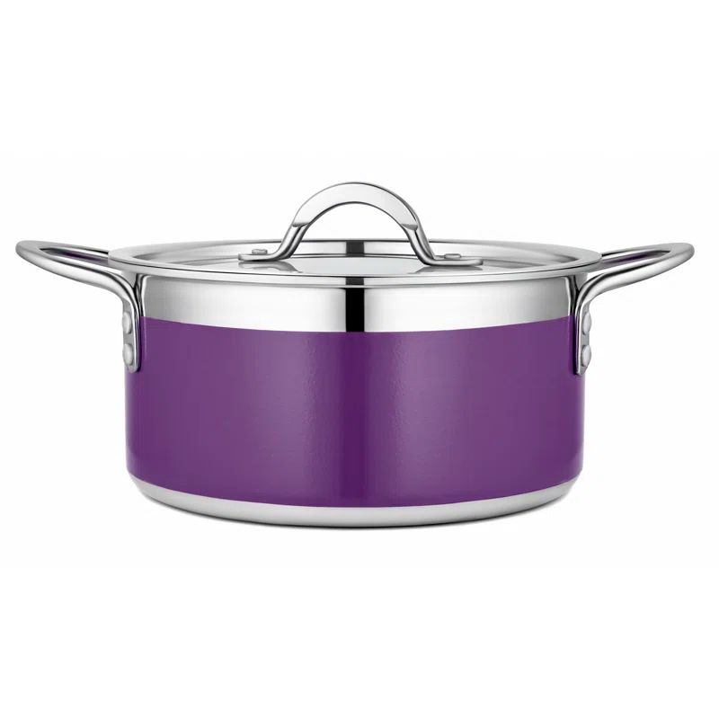 Purple 3.28 qt. Stainless Steel Soup Pot with Riveted Handles