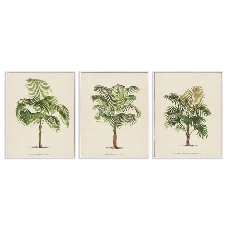 White Framed Botanical Trio Canvas Print Set, 16" x 20"