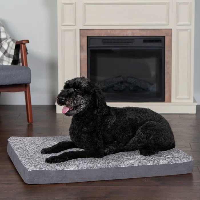 Large Stone Gray Memory Foam Orthopedic Pet Bed
