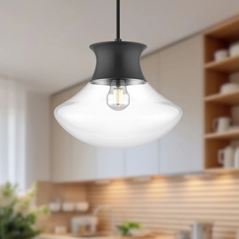 Marcel Matte Black and Clear Glass Outdoor Pendant Light
