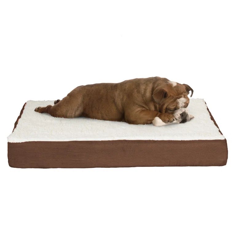 Medium Brown Orthopedic Memory Foam Pet Bed