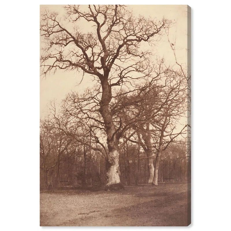 Vintage Landscape Wrapped Canvas Art in 24" x 16"