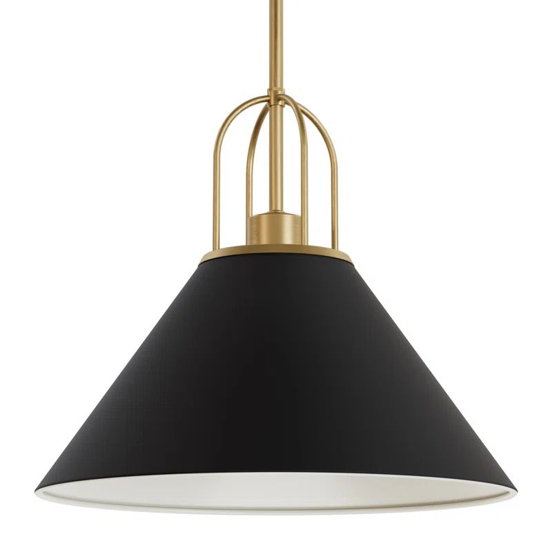 Matte Black and Luxe Gold Aluminum Pendant Light Fixture