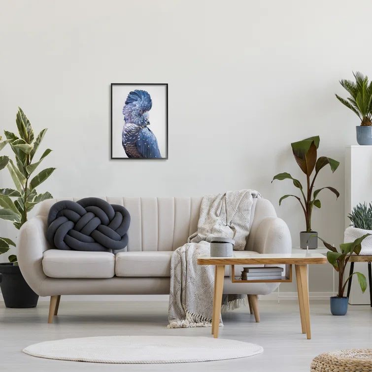 Blue Cockatoo Portrait Black Framed Canvas Print, 16 x 20