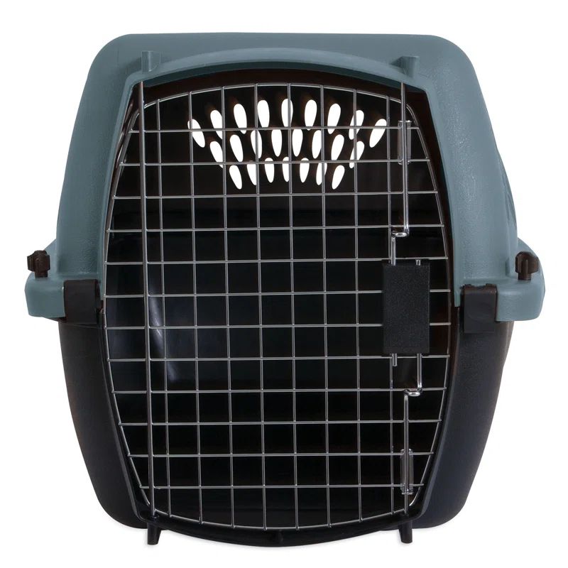 Small Airline Approved Blue and Black Plastic Pet Carrier