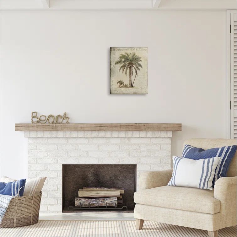 Vintage Palm Tree Study Botanical Canvas Wall Art, 16 x 20