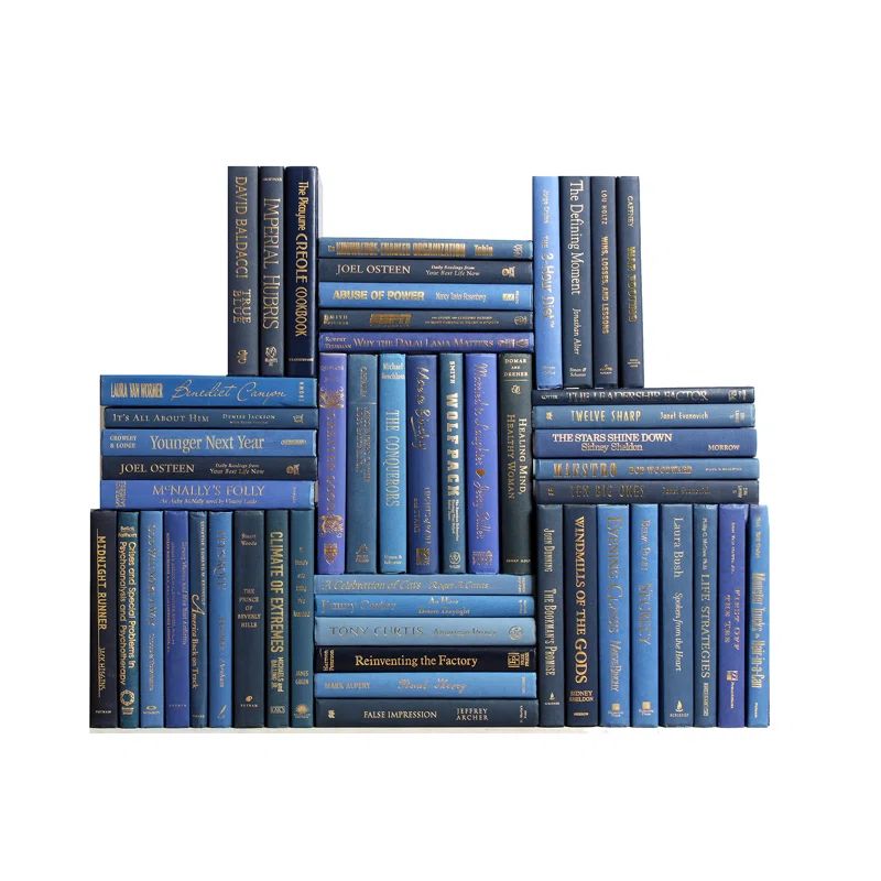 Modern Denim and Gold Decorative Book Wall Set