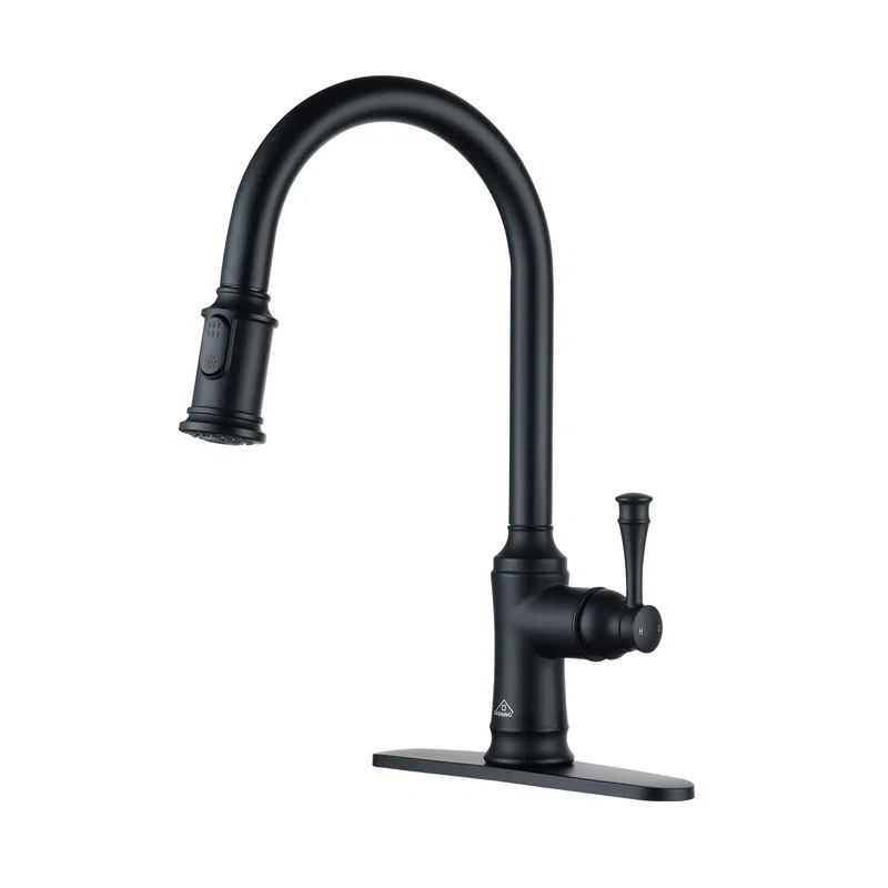 Matte Black Stainless Steel Pull-Out Kitchen Faucet