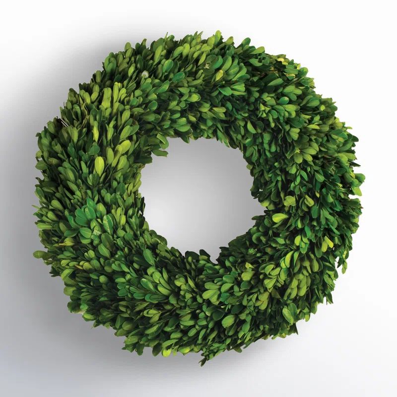 16" Green Preserved Boxwood Circular Indoor Wreath