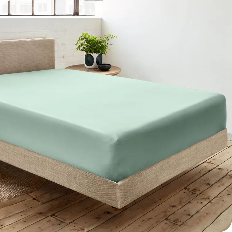 Willow Green Organic Cotton Percale Twin XL Fitted Sheet Set