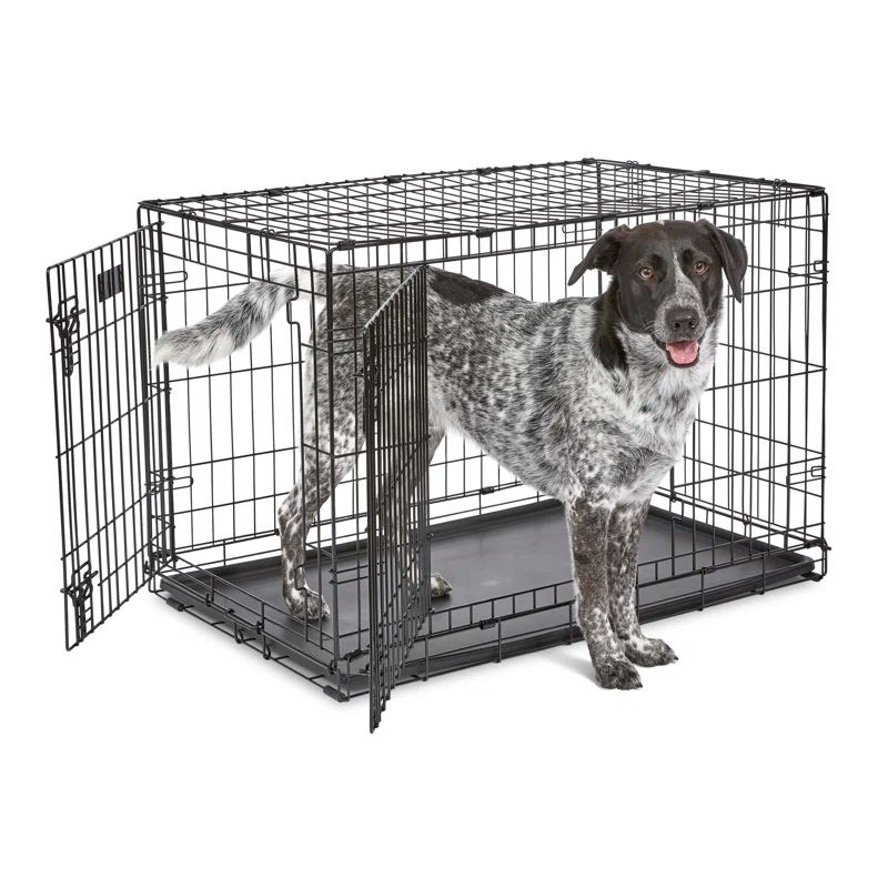 Black Double Door Folding Metal Dog Crate, 36"
