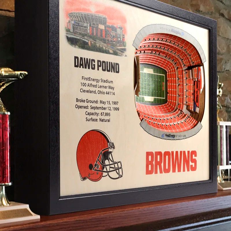 Cleveland Browns 3D Stadium Wall Art with Dark Brown Frame