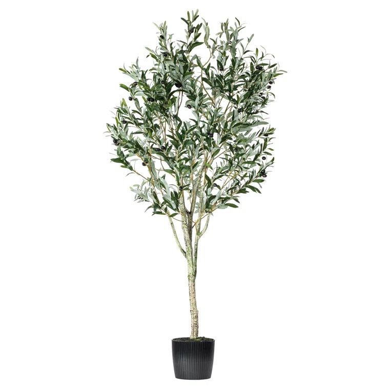6-Foot Tall Faux Olive Tree in Black Planter Pot