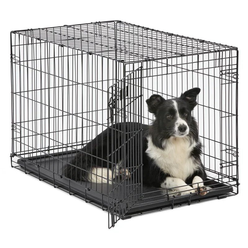 Intermediate Black Rolling Single Door Dog Crate with Divider Panel