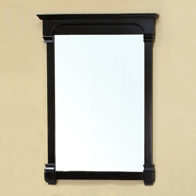 Espresso Birch Wood Full Length Rectangular Wall Mirror