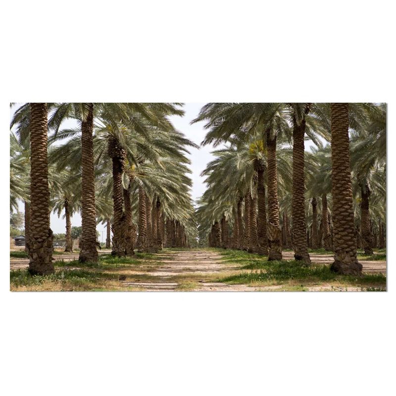 Date Palm Plantation Landscape Canvas Print in Brown and Green