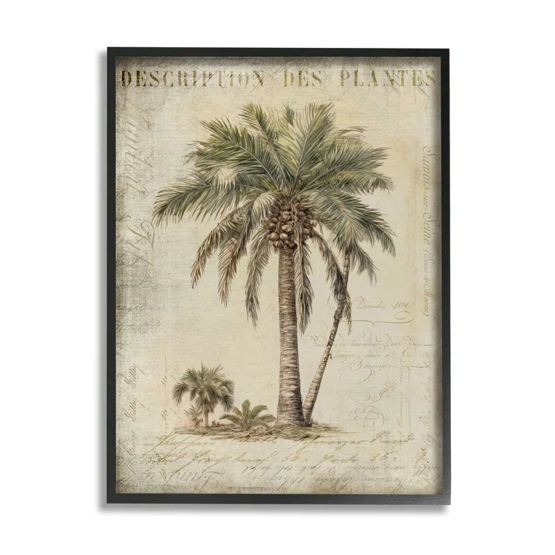 Vintage Palm Tree Study Black Framed 11 x 14 Art Print