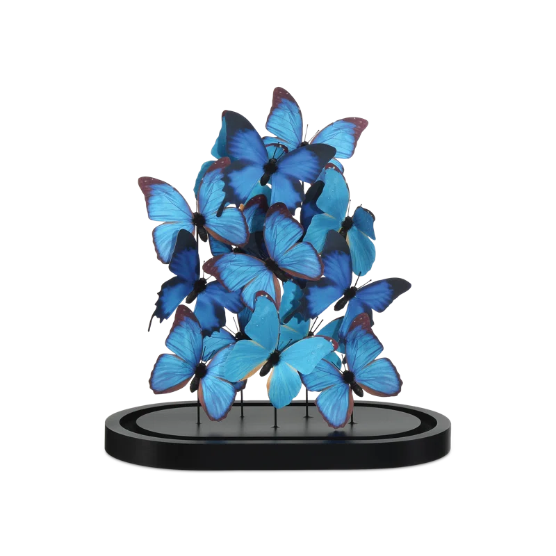 Blue and Black Butterfly Sculpture with Clear Glass Dome on Wood Base