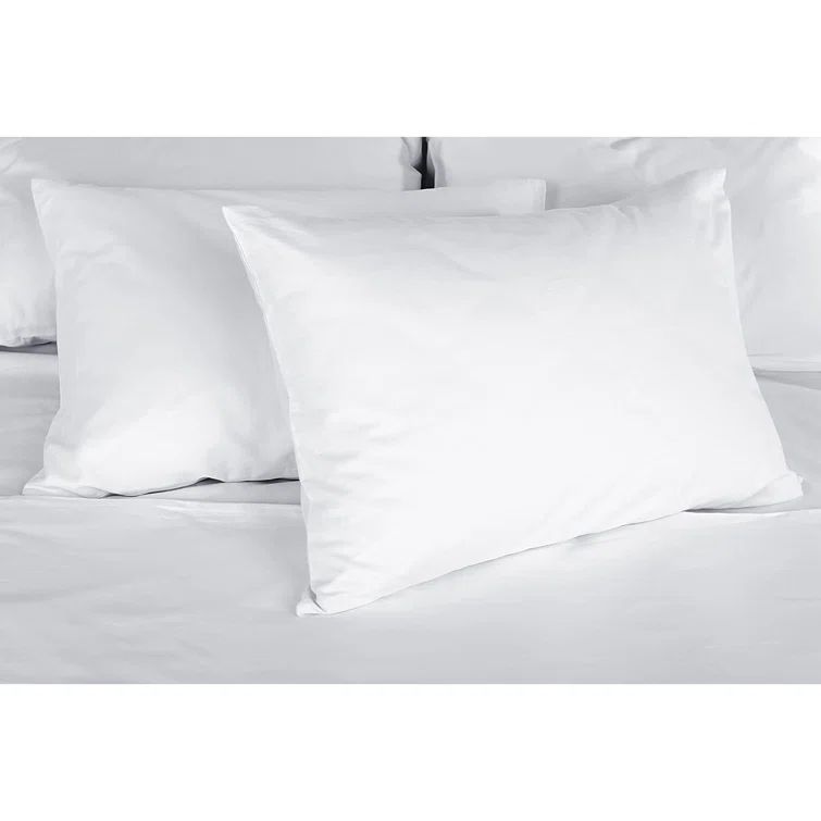 Standard Size White Goose Down Hypoallergenic Pillow Set