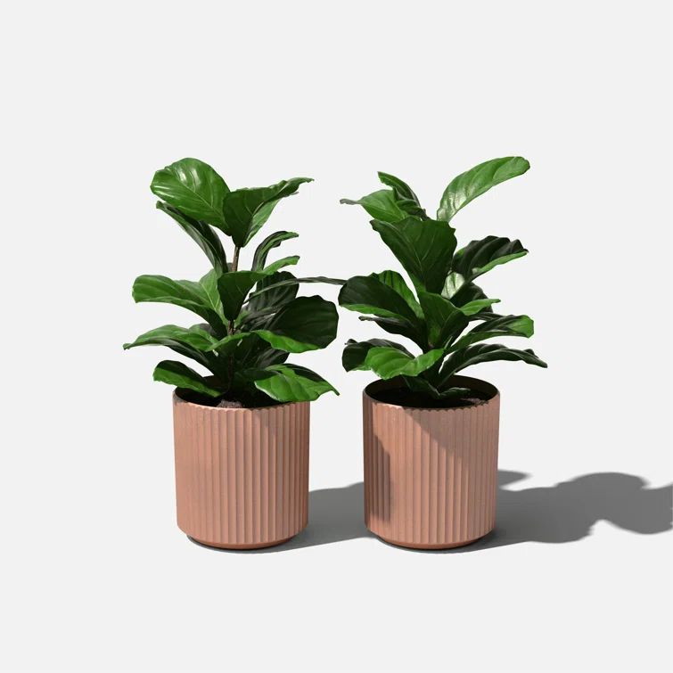Terracotta Fluted Plastic Composite Planter Set, 12-inch, Two Pack