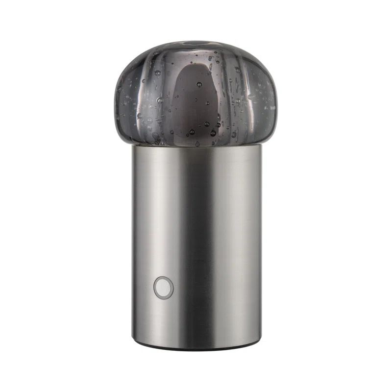 Iris Metallic Cordless LED Outdoor Lamp with Glass Shade