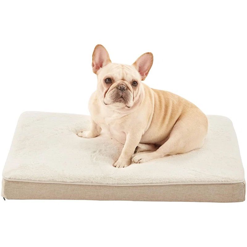 Medium Beige Orthopedic Memory Foam Dog Bed