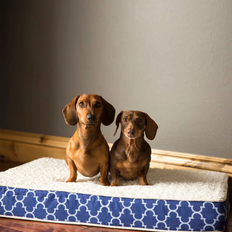 Large Navy Trellis Orthopedic Waterproof Dog Bed