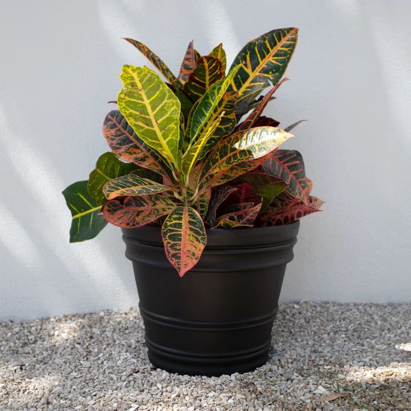 Black Polypropylene Rolled Rim Indoor/Outdoor Planter, 21.5"