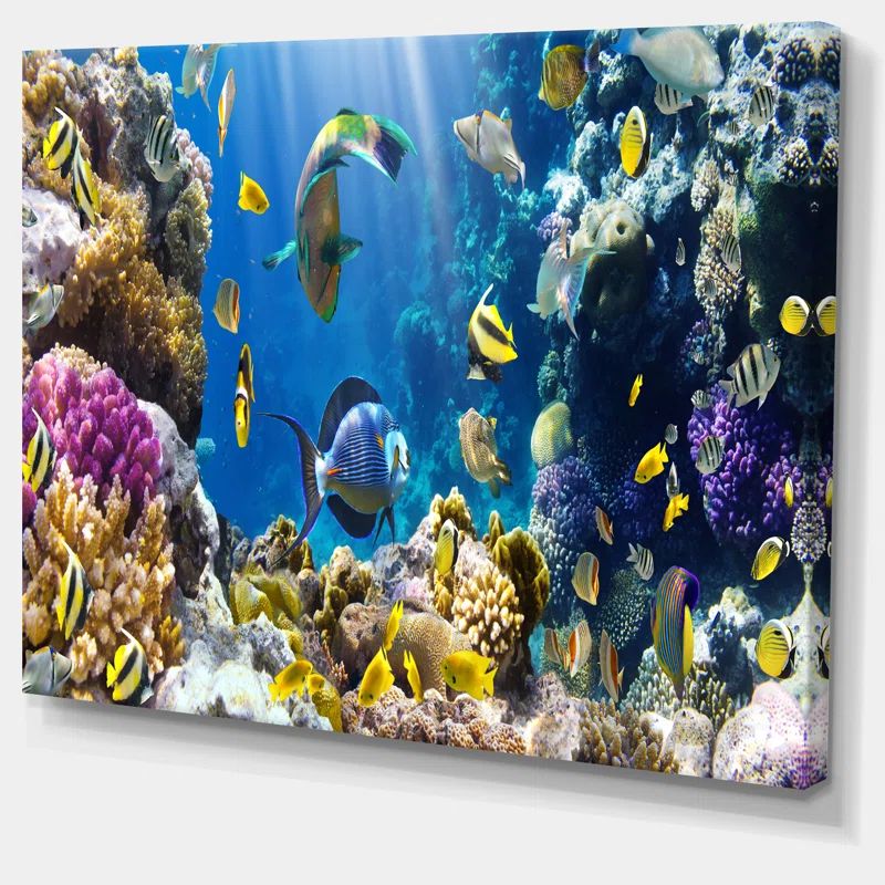 Vibrant Coral Reef Fish Canvas Print in Blue and Yellow