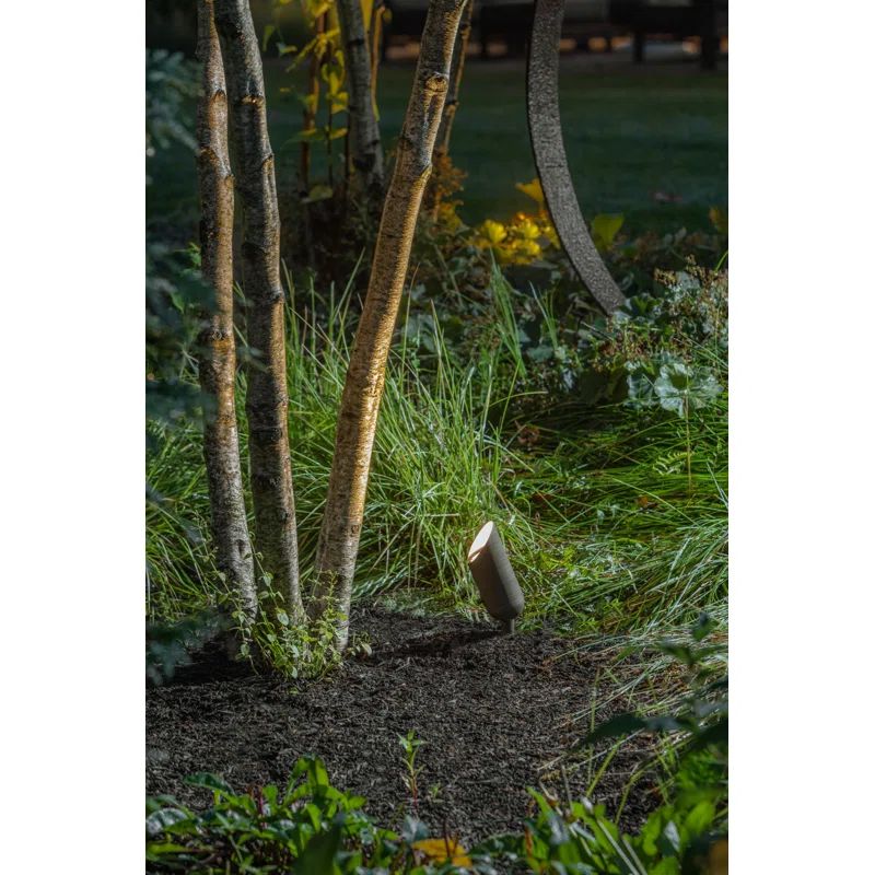 Matte Bronze LED Outdoor Spotlight with Clear Lens