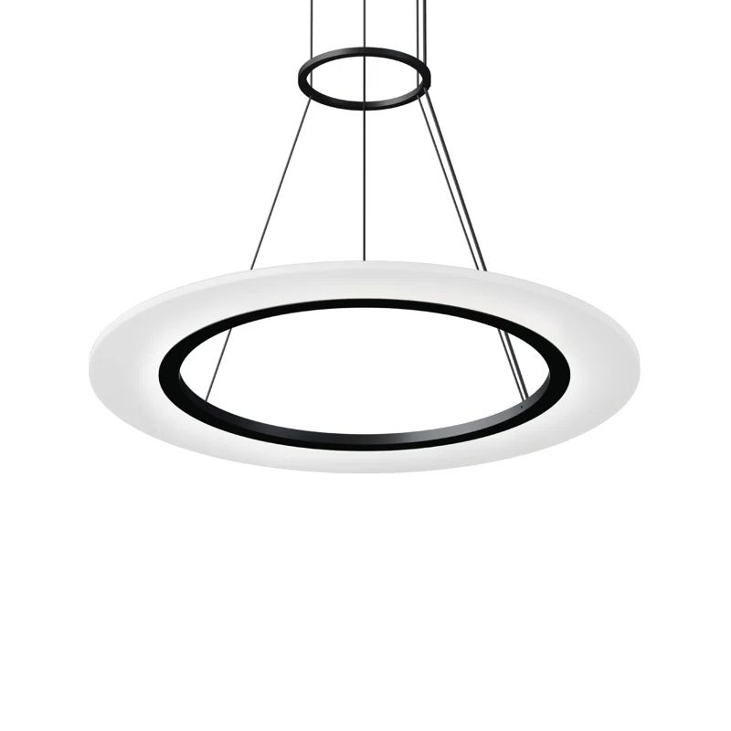 Satin Black Aluminum LED Indoor/Outdoor Pendant Light
