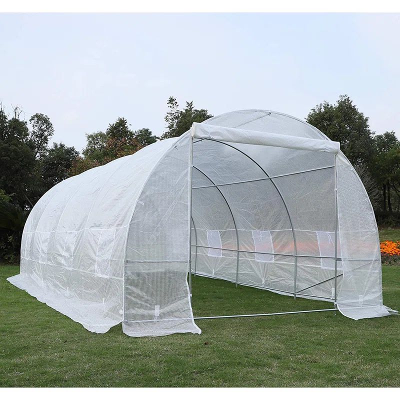 Large White Galvanized Steel Frame Greenhouse with Polyethylene Panels