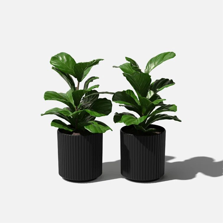 Black Fluted Plastic-Stone Round Planter Set
