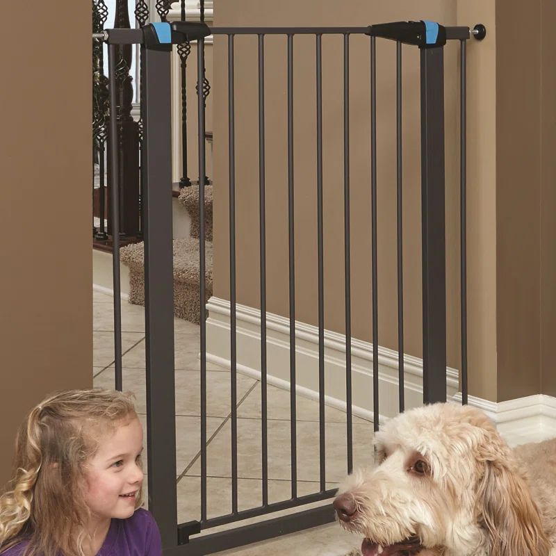 Graphite Tall Steel Walk-Through Pet Gate with Glow Strips