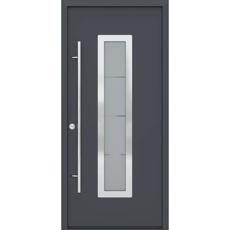 Argos Anthracite Zinc-Galvanized Steel Screen Door with Frosted Glass