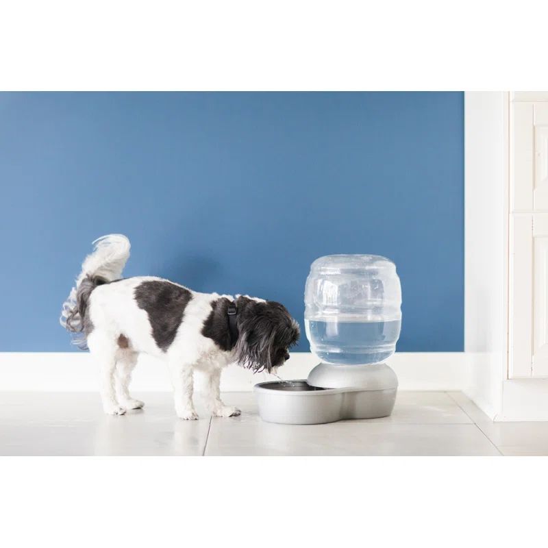 Small Pearl Silver Gray Automatic Pet Waterer