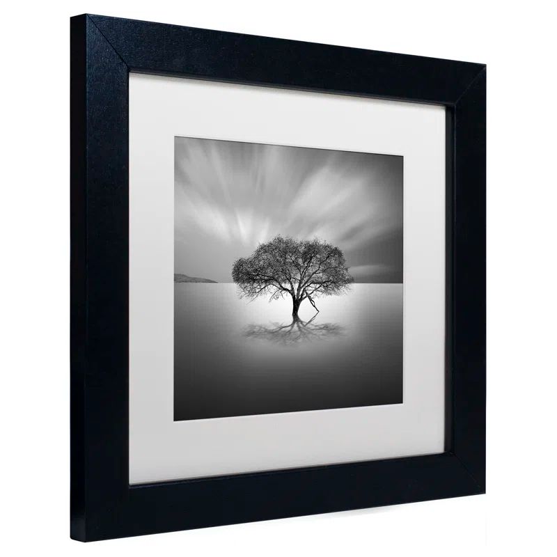 Moises Levy Black Framed Water Tree VIII Canvas Print