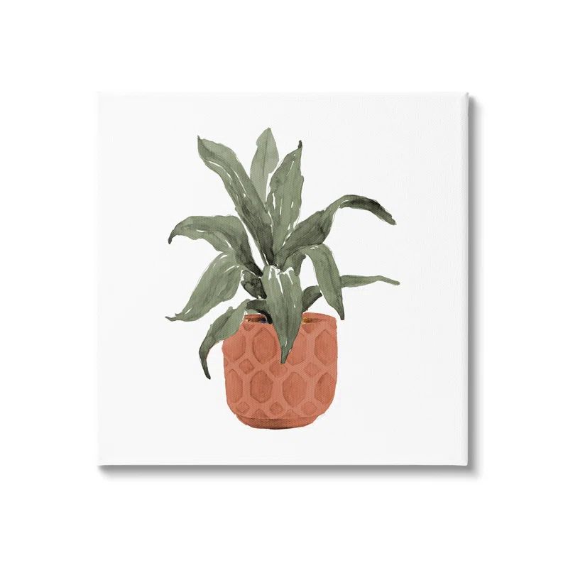 Green House Plant in Terracotta Planter Canvas Wall Art