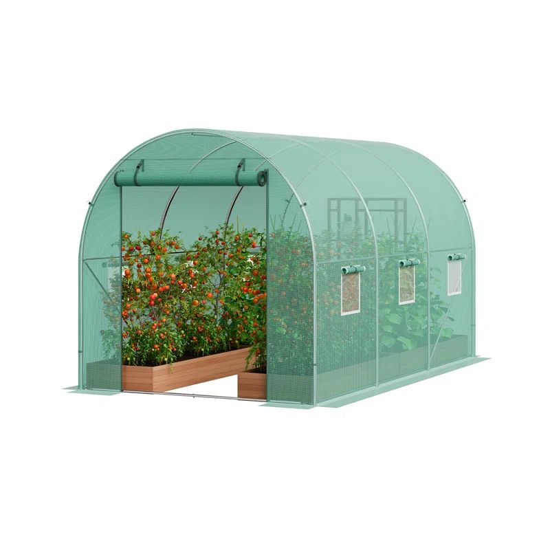 Large Green Galvanized Steel Frame Walk-In Tunnel Greenhouse