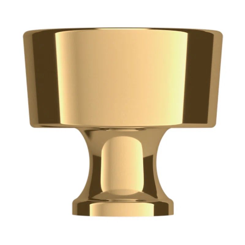 Polished Brass Round Cabinet Knob with Mounting Hardware